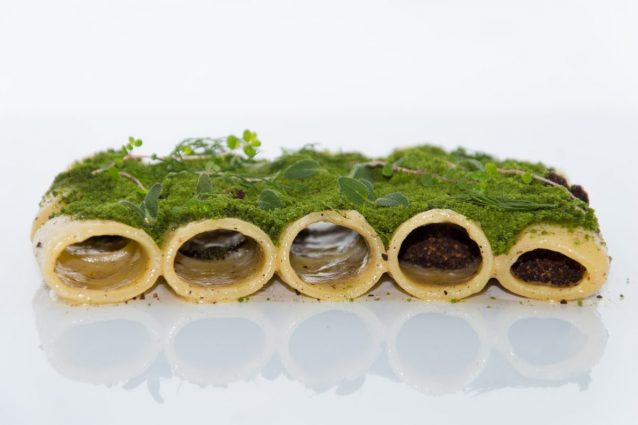 Paccheri cacio e pepe con muschio di erbe selvatiche – foto di Video Solution Viterbo