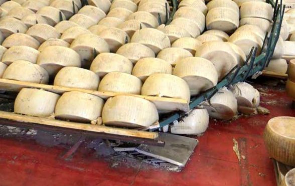parmigiano-terremoto